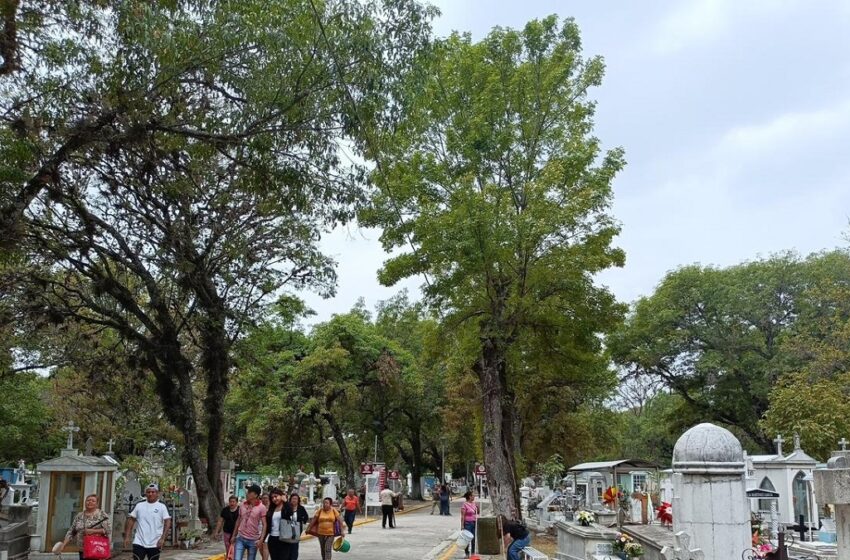  Panteón Municipal recibió más de 35 mil visitantes durante el primer bimestre de 2026