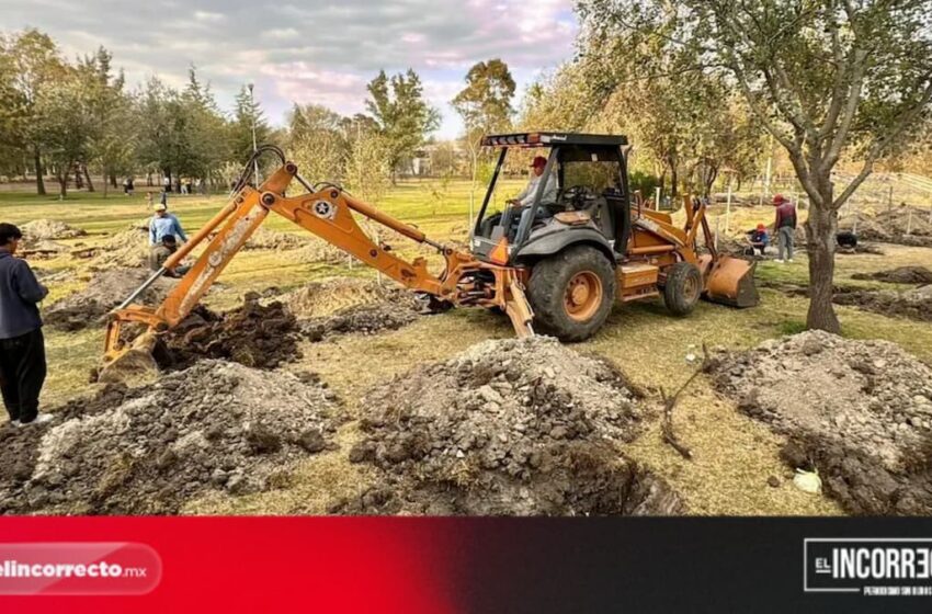  Gobierno inicia reforestación de 10 mil árboles en Puebla: aquí serán plantados