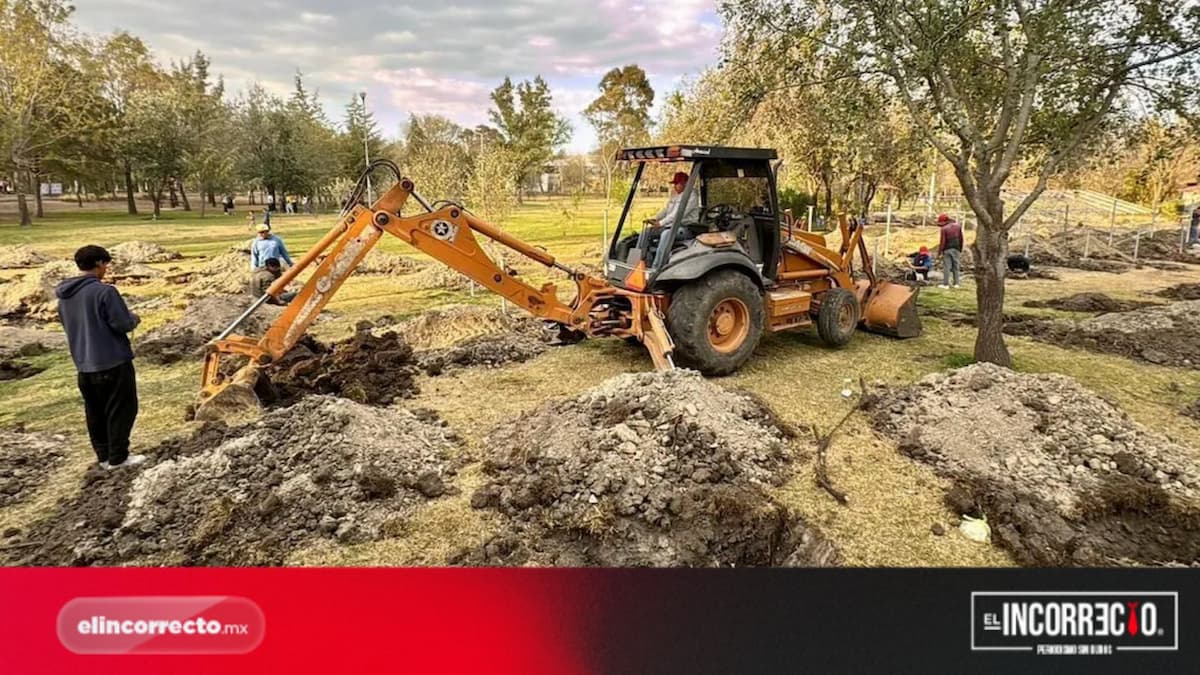 Gobierno inicia reforestación de 10 mil árboles en Puebla: aquí serán plantados