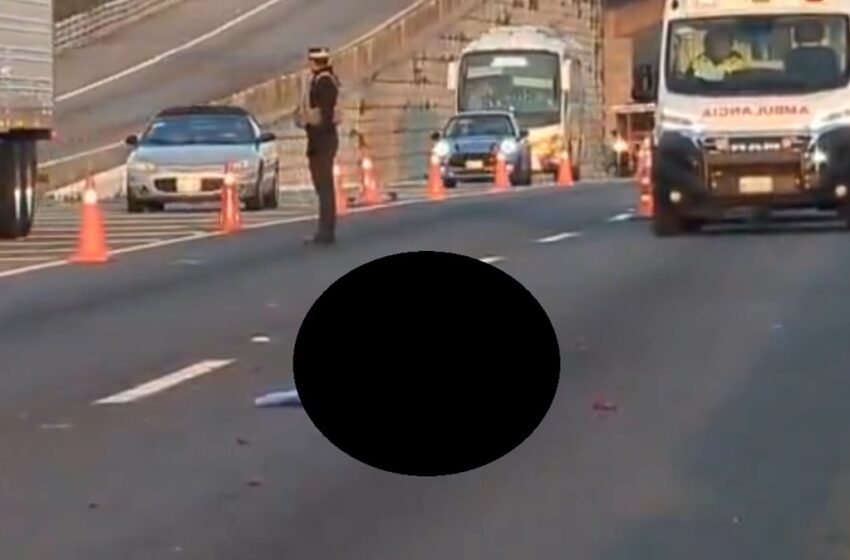  Impactante hallazgo en autopista Puebla–Orizaba: localizan cuerpo desmembrado tras presunto atropellamiento
