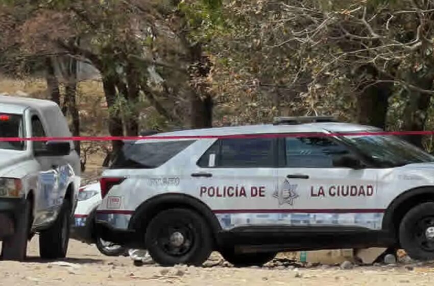  Puebla en alerta: hallan a joven con huellas de violencia en San Sebastián Aparicio; sería el feminicidio 15 del año