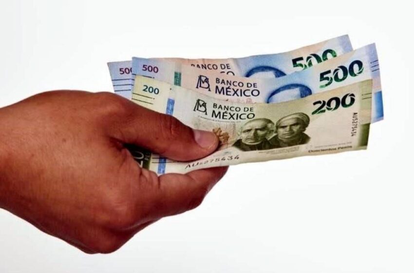 Señalamientos de presuntas irregularidades sacuden a Movilidad Puebla; autoridades piden denuncias formales
