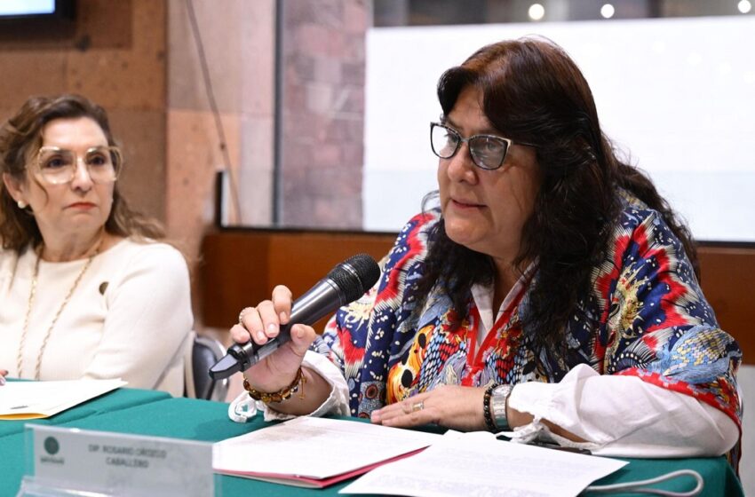  Avanza en cámara de diputados garantía de vivienda adecuada para mujeres víctimas de violencia