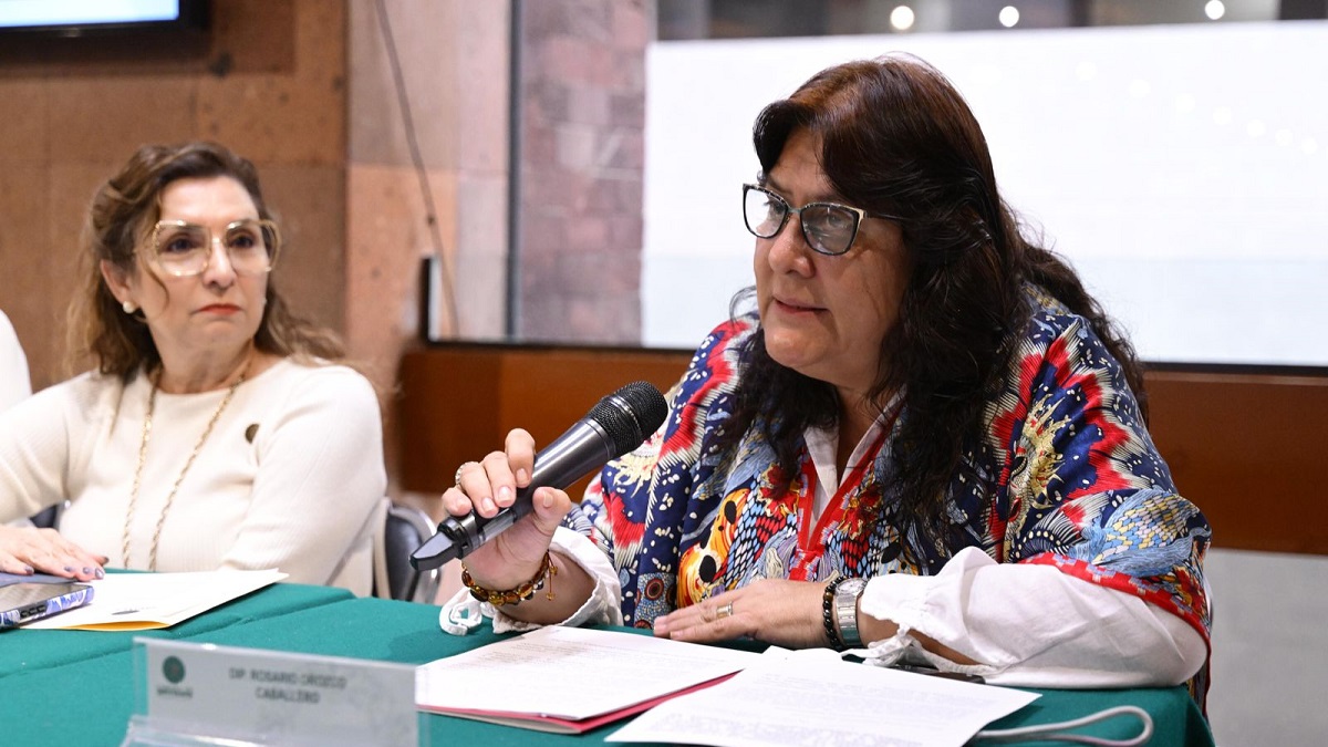 Avanza en cámara de diputados garantía de vivienda adecuada para mujeres víctimas de violencia