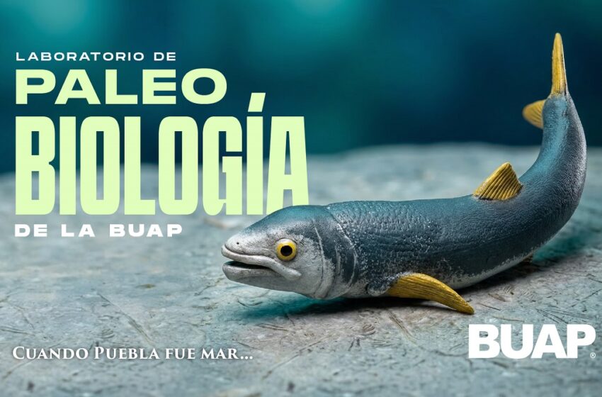  Laboratorio de Paleobiología de la BUAP, evidencia de vida del pasado para interpretar el presente y vislumbrar un futuro