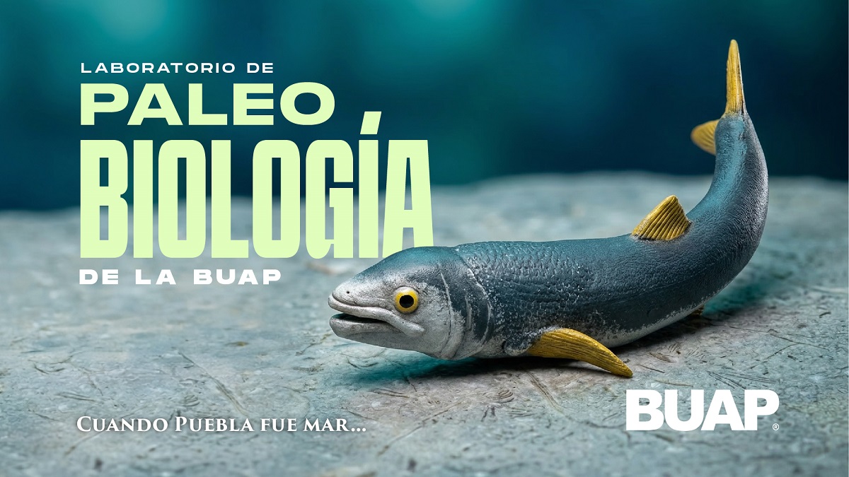 Laboratorio de Paleobiología de la BUAP, evidencia de vida del pasado para interpretar el presente y vislumbrar un futuro