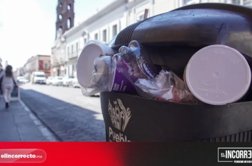  ¡No se suspende! Recolección de basura operará con normalidad este 1 de mayo