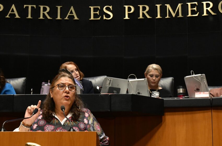  México no negocia su soberanía ni acepta intervención extranjera: Rosario Orozco