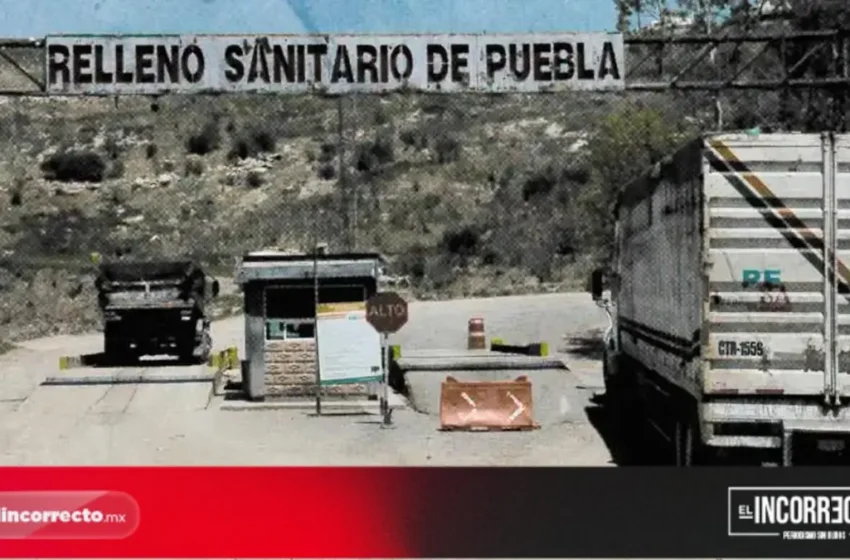  Profepa definirá continuidad de desechos foráneos en Chiltepeque