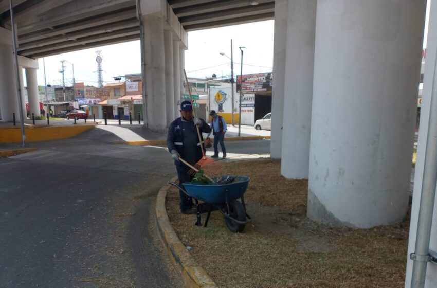  Refuerza Gobierno de Pepe Chedraui mantenimiento en bajo puentes de la capital