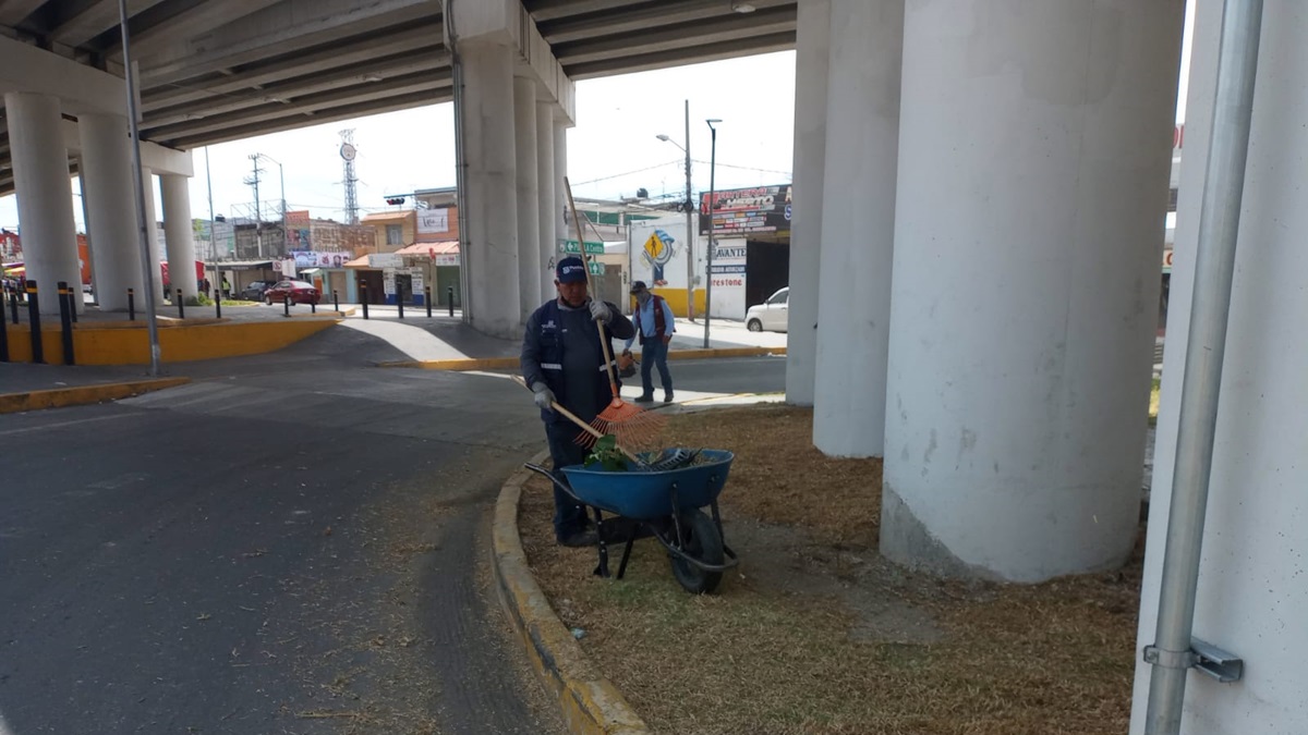 Refuerza Gobierno de Pepe Chedraui mantenimiento en bajo puentes de la capital