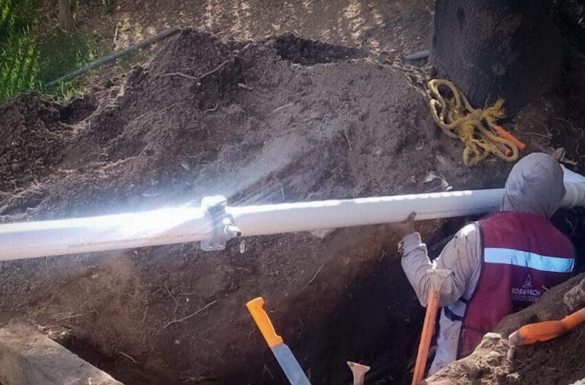  Sosapach informa de las labores de mantenimiento en Geovillas el Campanario