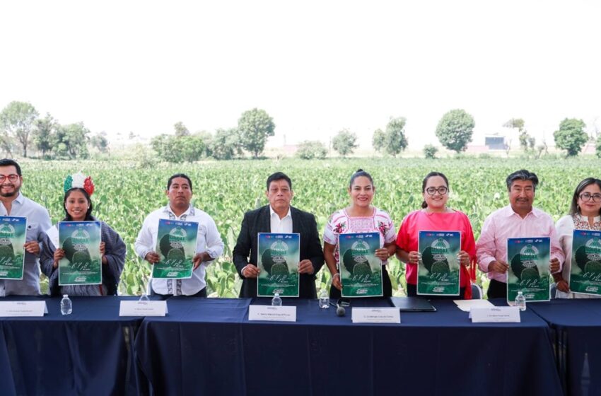  Todo listo para la Feria del Nopal en San Bernardino Tlaxcalancingo