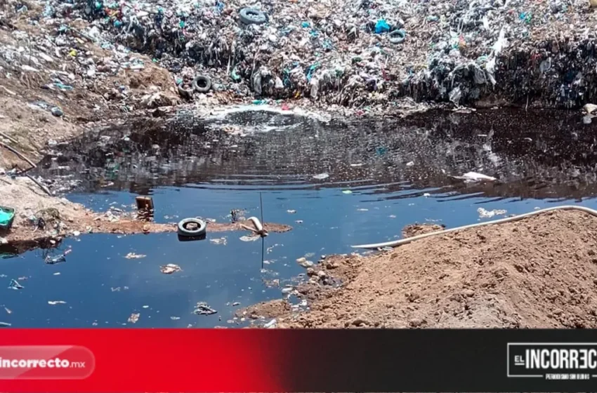  Urge reciclar basura ante crisis en el Relleno Sanitario Chiltepeque