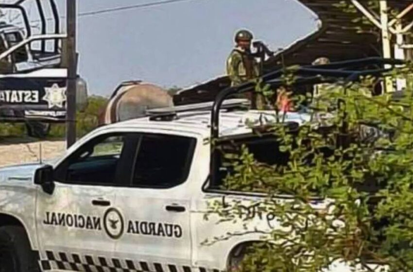  Tehuitzingo: investigación apunta a un hijo como principal sospechoso de matar a 10 personas en rancho de Puebla