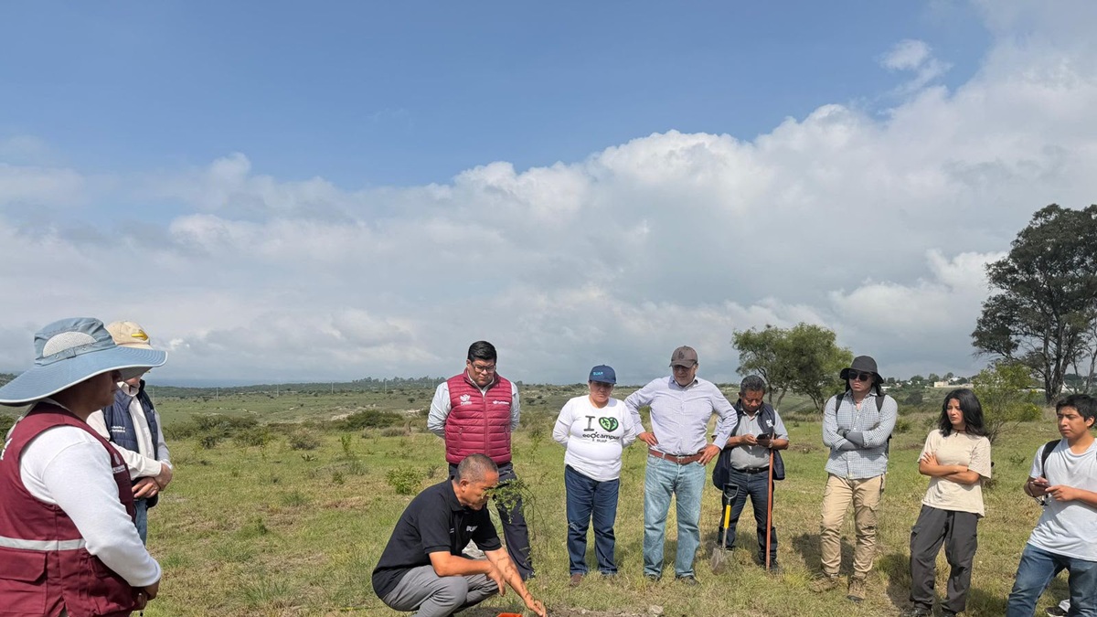 Avanza Gobierno de Pepe Chedraui en la reforestación con la plantación de más de 9 mil árboles