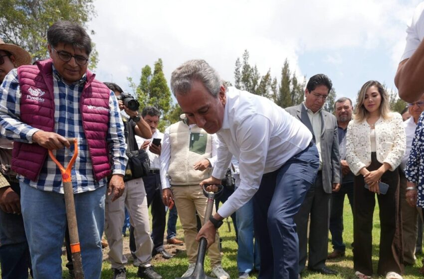  Avanza Pepe Chedraui en la recuperación de áreas verdes con “Raíces del Futuro”
