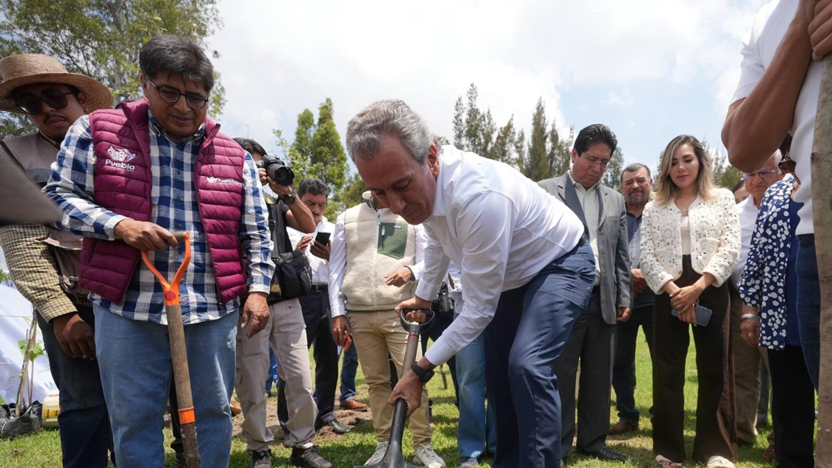 Avanza Pepe Chedraui en la recuperación de áreas verdes con “Raíces del Futuro”