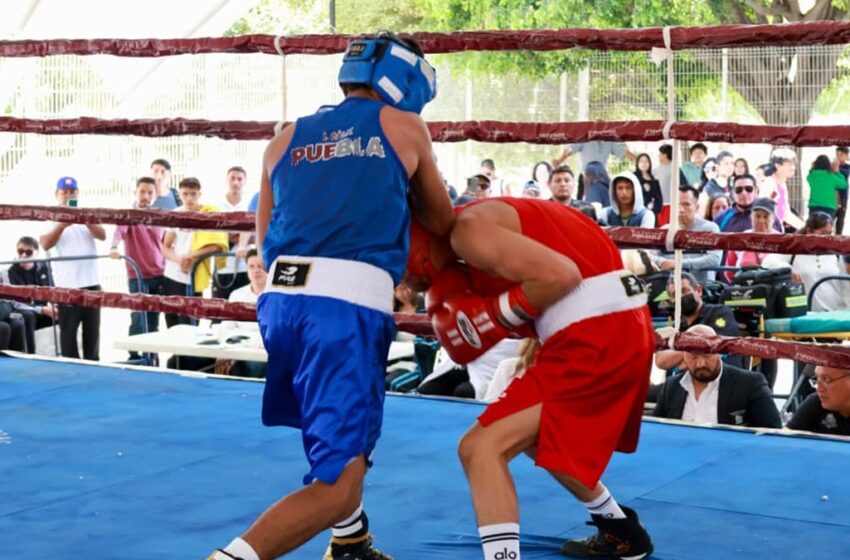  Con gran final concluye Gobierno de Pepe Chedraui el Torneo de Barrios de Box 2026