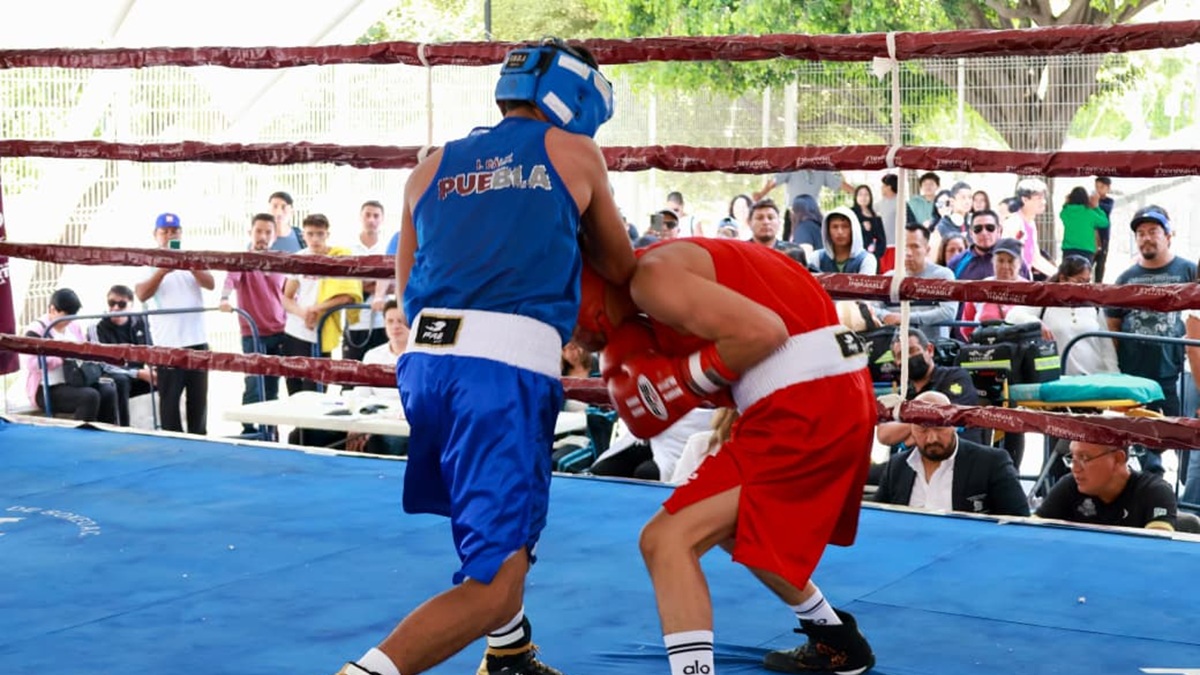 Con gran final concluye Gobierno de Pepe Chedraui el Torneo de Barrios de Box 2026