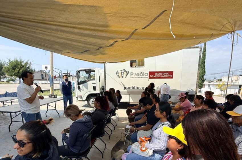  Gobierno de Pepe Chedraui fortalece el bienestar animal con jornadas de atención en cinco colonias de Puebla