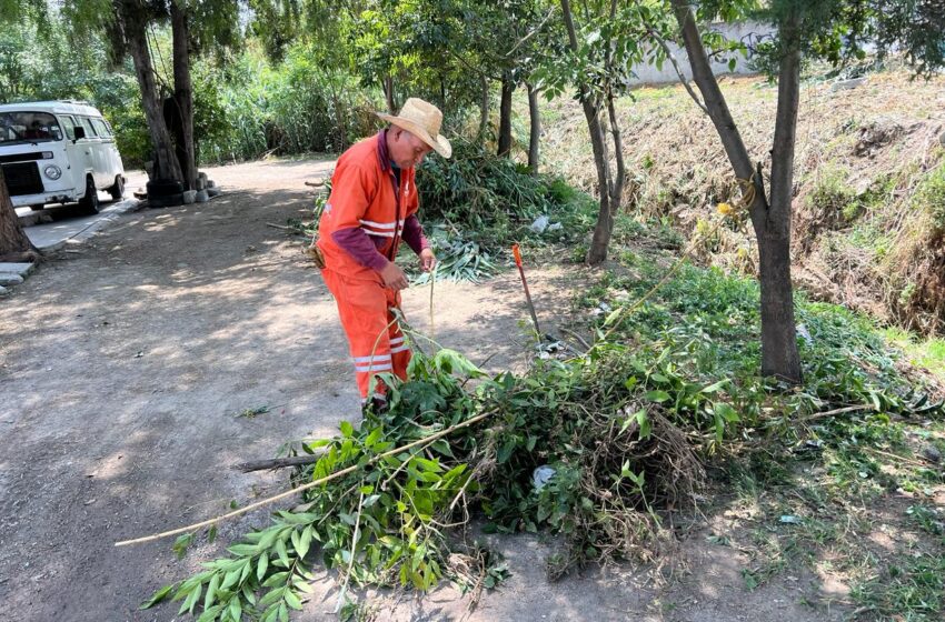  Promueve Gobierno de Pepe Chedraui limpieza y disposición adecuada de residuos para prevenir inundaciones