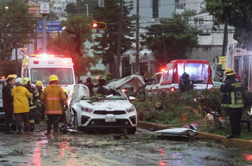  Identifican a la mujer que murió tras la caída de un árbol durante la tormenta en Puebla