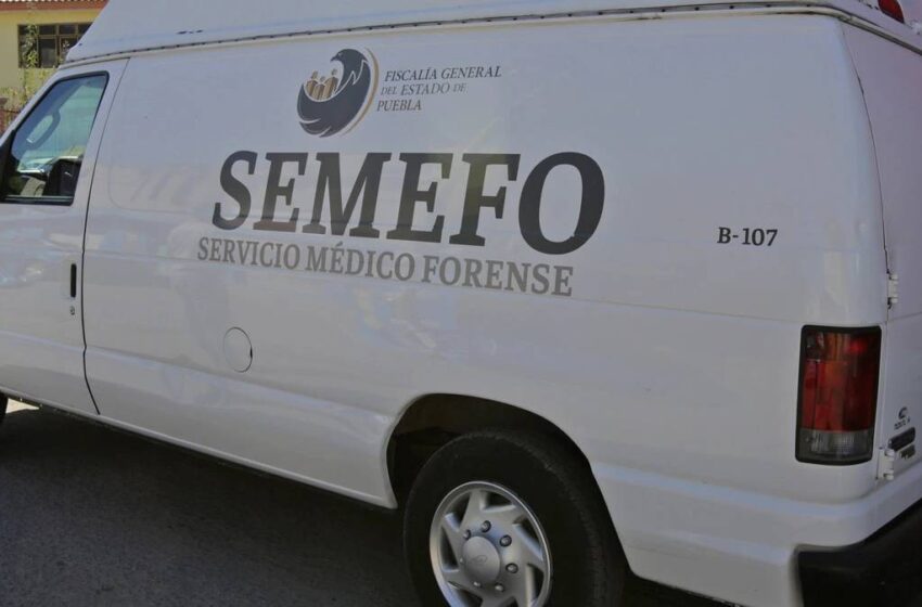  Investigan hallazgo de un menor y un adulto sin vida en Bosques de San Sebastián, Puebla