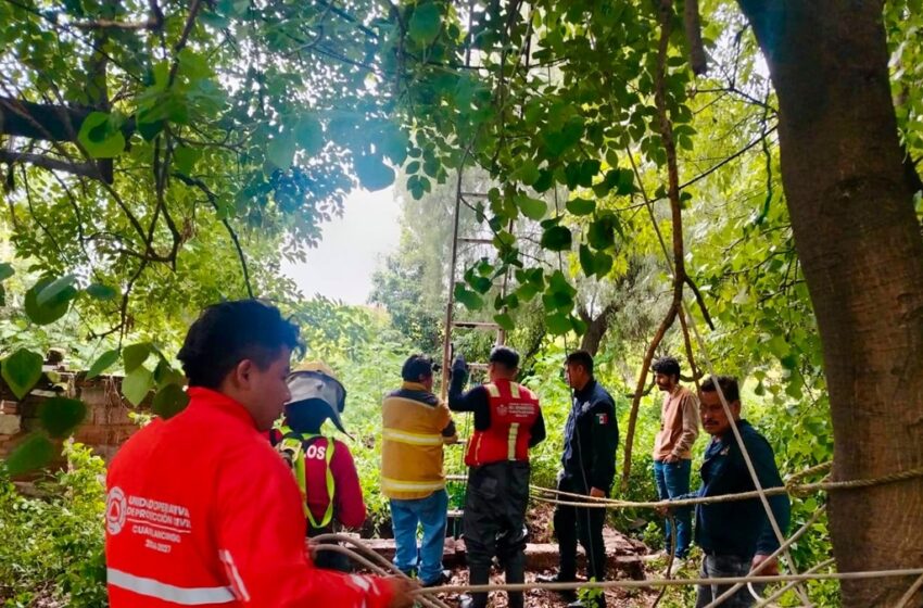  Bomberos y Protección Civil rescatan a ser sintiente en la Inspectoría Nuevo León