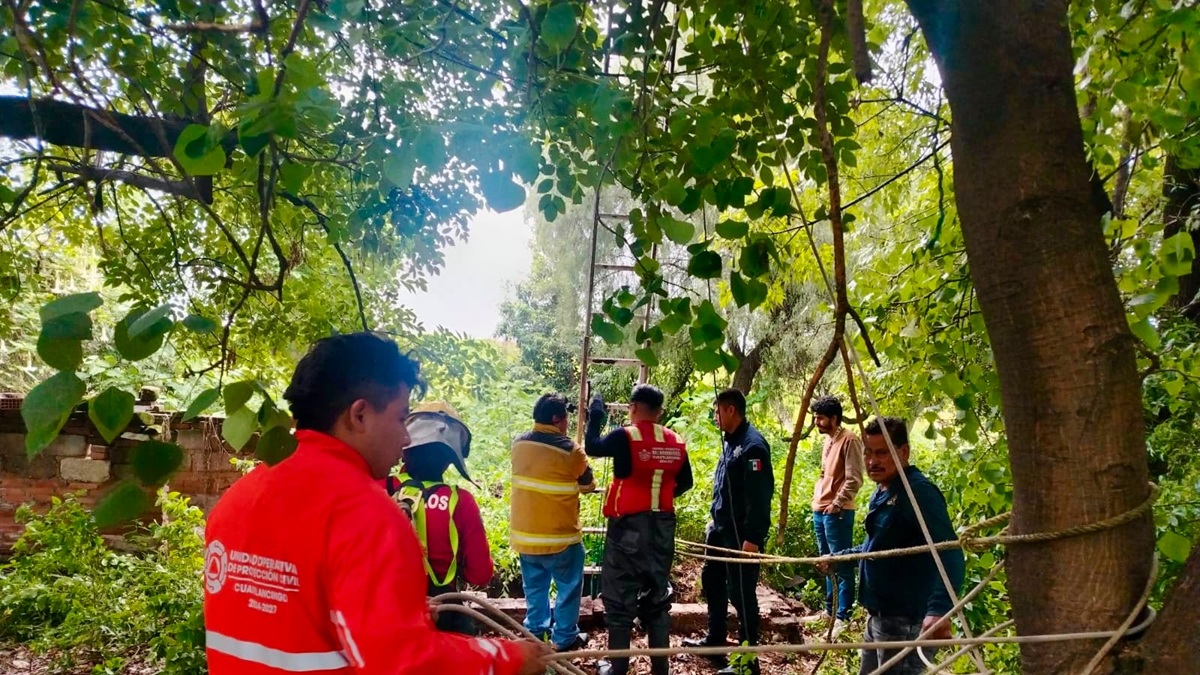 Bomberos y Protección Civil rescatan a ser sintiente en la Inspectoría Nuevo León
