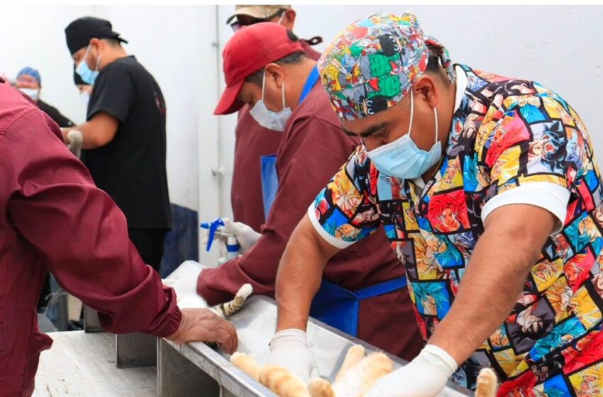  Con el liderazgo de Pepe Chedraui, Puebla fortalece el bienestar animal con más de 200 jornadas de protección animal