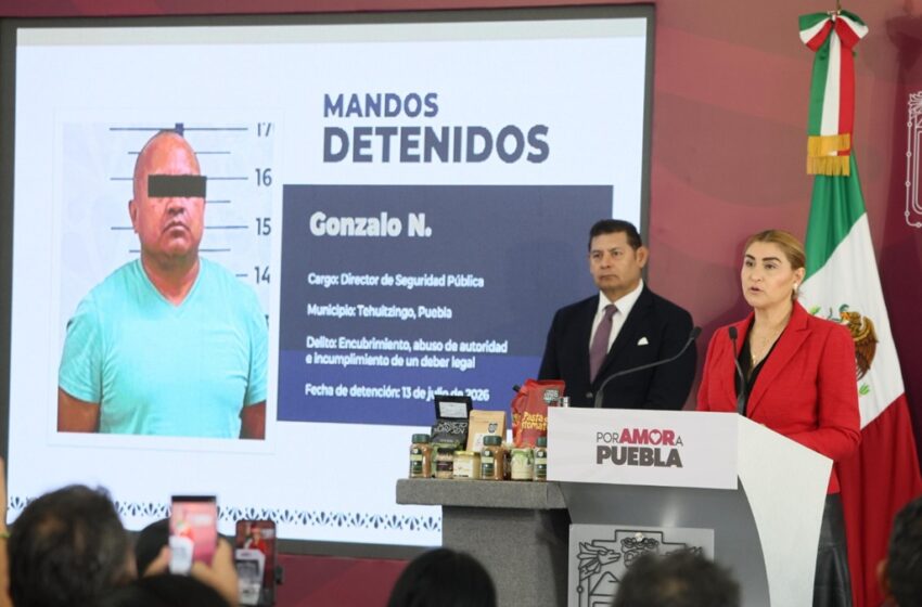  Con inteligencia y estrategia, gobierno estatal  desmantela producción de estupefacientes en sierra norte