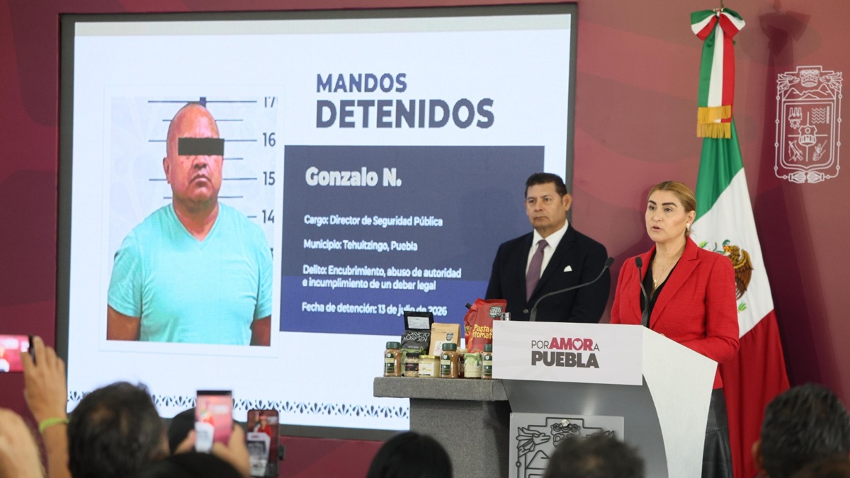 Con inteligencia y estrategia, gobierno estatal desmantela producción de estupefacientes en sierra norte