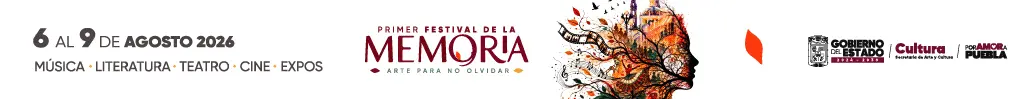 DIseño_fmemorias_1028_98