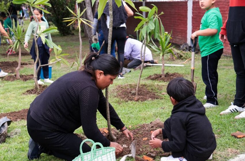  Fortalece Lupita Cuautle cultura ambiental con jornada de reforestación escolar