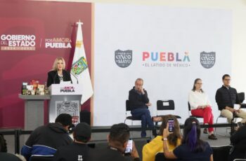 Gobierno estatal reduce 55% la superficie afectada por incendios forestales