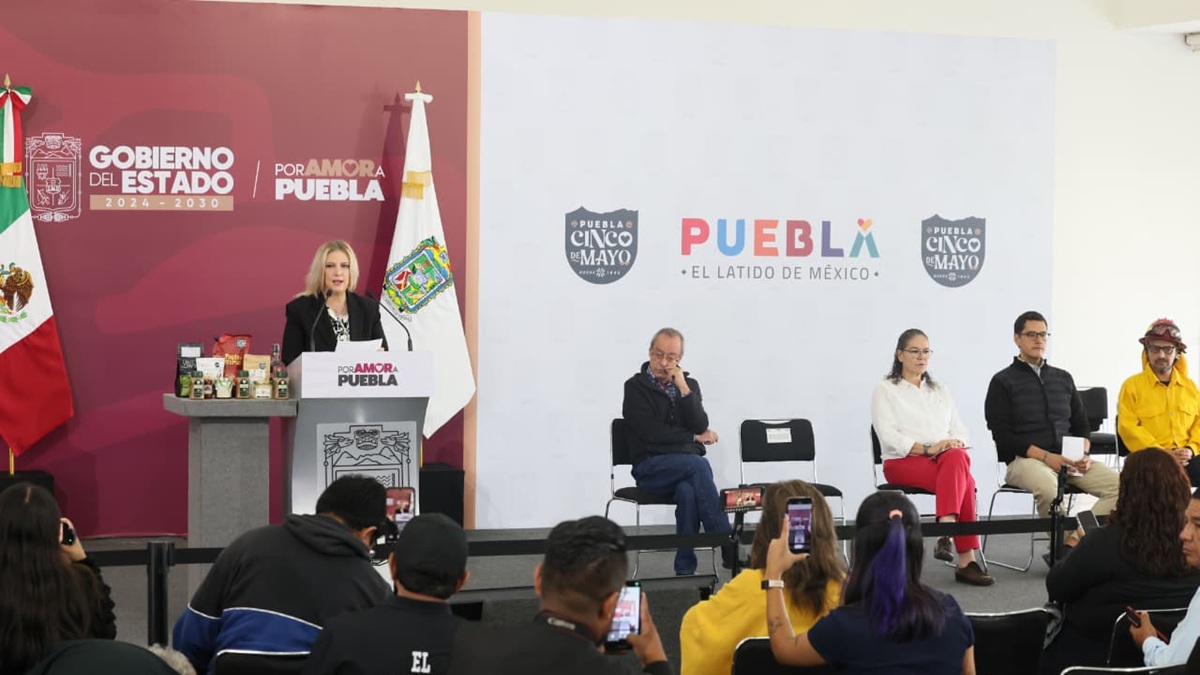 Gobierno estatal reduce 55% la superficie afectada por incendios forestales