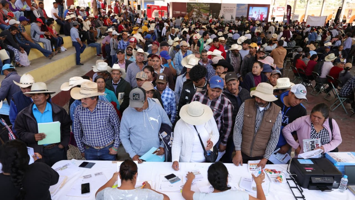 Ixtacamaxtitlán recibe apoyos estatales sin precedentes en maquinaria, fertilizantes y reforestación
