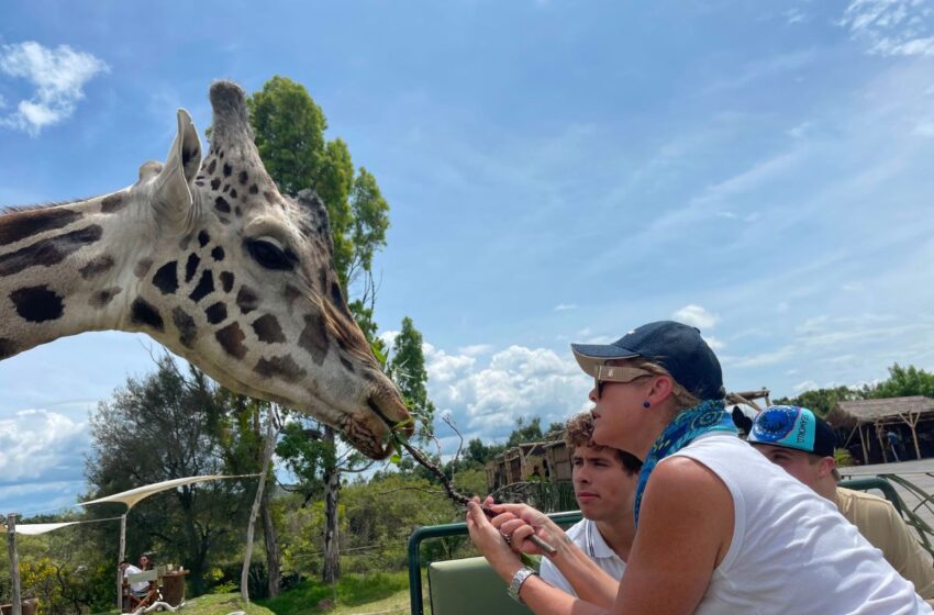 Lo más sorprendente de Africam Safari no camina en cuatro patas
