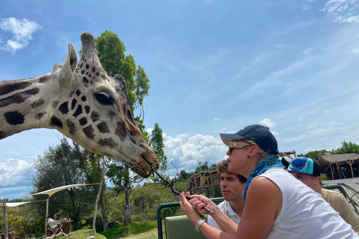 Lo más sorprendente de Africam Safari no camina en cuatro patas