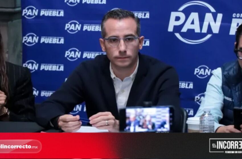  PAN rechaza campaña contra Gaby «La Bonita» y acusa a Morena de desviar la atención