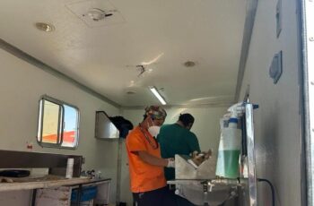 Pepe Chedraui fortalece el bienestar animal con más de 18 mil esterilizaciones gratuitas en Puebla