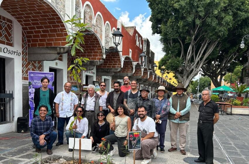  Pepe Chedraui promueve el cuidado y conservación del arbolado urbano en Puebla