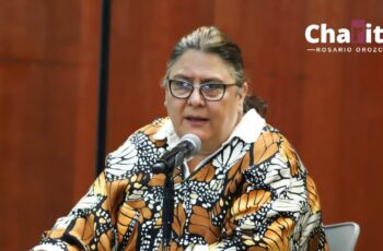 Respaldan iniciativa de la presidenta Sheinbaum para concientizar sobre el uso de redes sociales e internet en la infancia