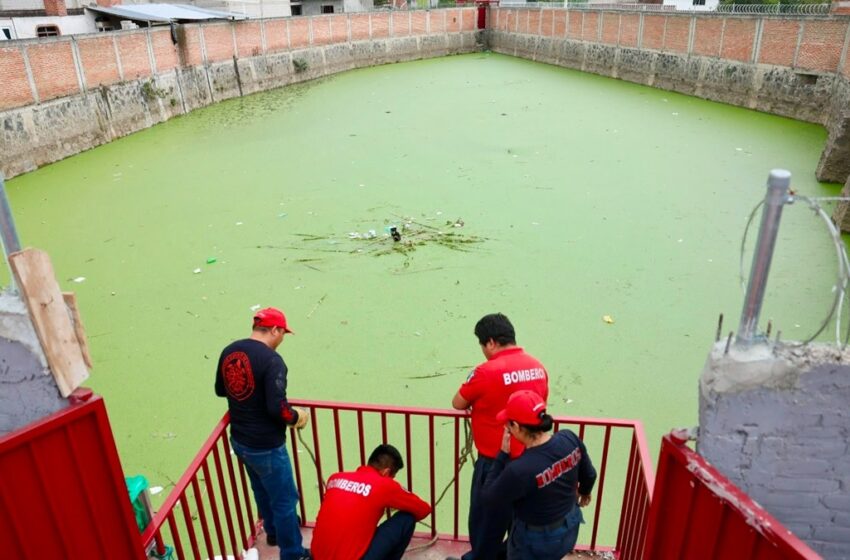  Bomberos de Cuautlancingo rescatan con éxito a ser sintiente en vaso regulador