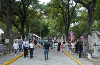 Garantiza Gobierno de Pepe Chedraui mantenimiento en el Panteón Municipal
