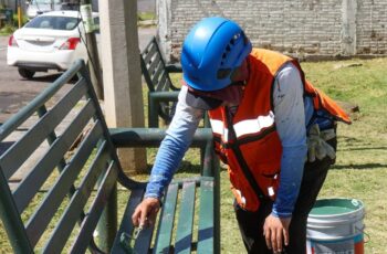 Mantiene Pepe Chedraui poda y chapeo en parques y áreas verdes