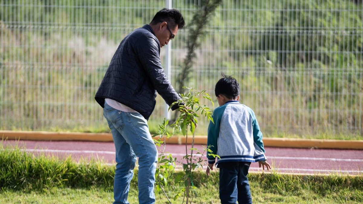 Realiza Lupita Cuautle jornada de reforestación en San Antonio Cacalotepec