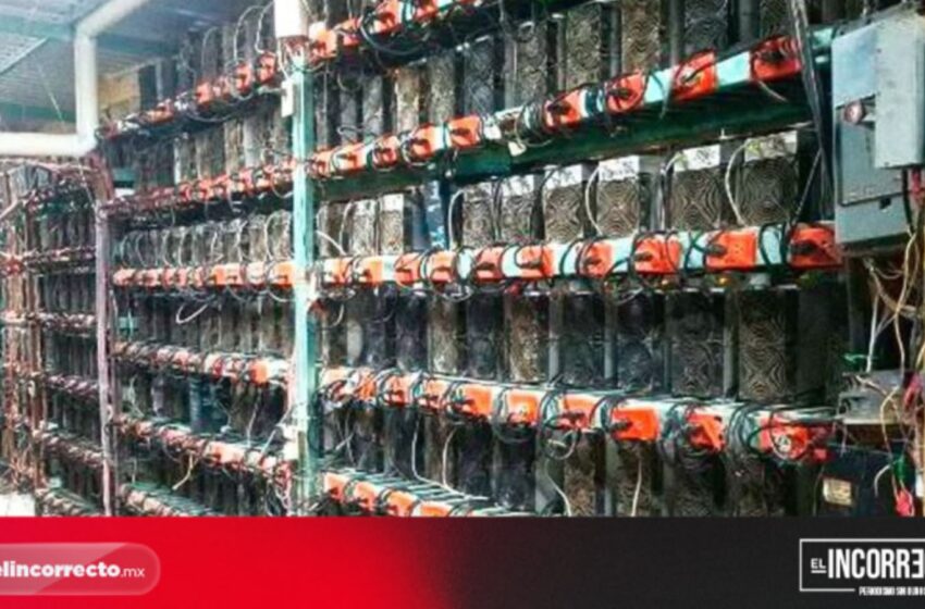  Desmantelan granja de criptomonedas en Tlaola