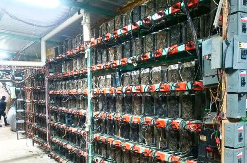  Desmantelan granja de criptomonedas en Tlaola